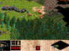 36_age_of_empires